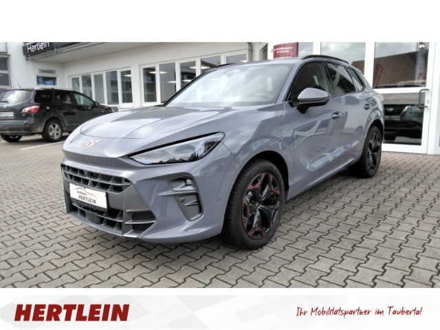 Terramar 2.0 TSI 150 kW 4Drive, Schaltwippen, 360 Kamera
